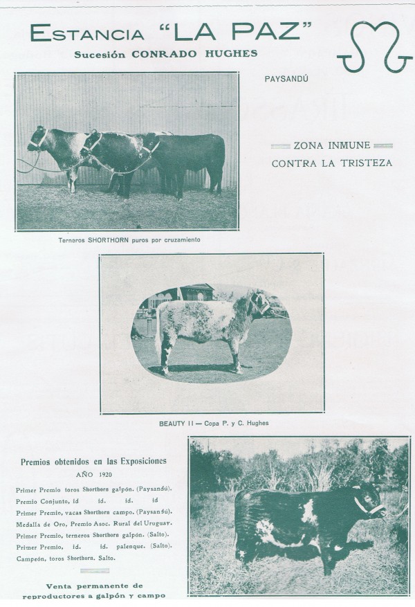 Aviso de Estancia y Cabaña La Paz -  Arch. Irureta Goyena Ediciones